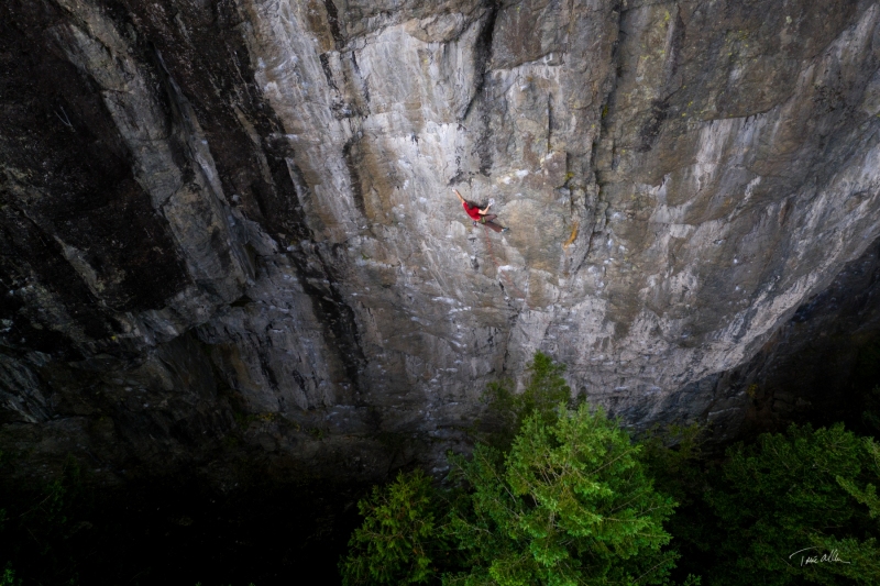 6AC6051E-D3F5-4E77-9F2E-5960B379F4F4