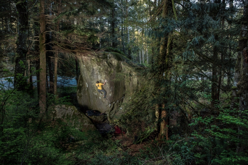 U93A3055ChoiChemicalImbalance