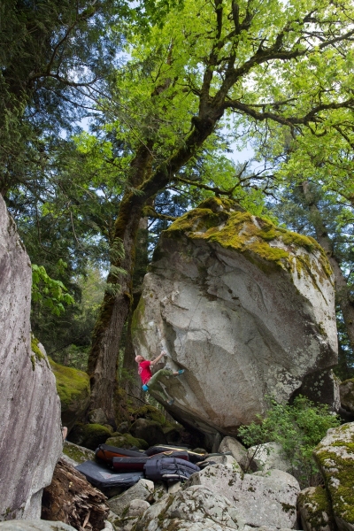 U93A5179AllOfTheAbove