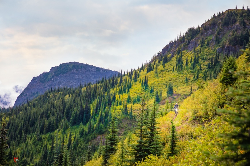 riding_on_the_countryside